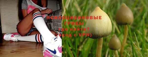 бошки Бронницы