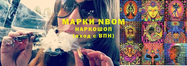 бошки Бронницы