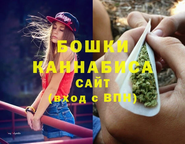 бошки Бронницы