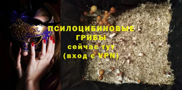 Альфа ПВП Бугульма