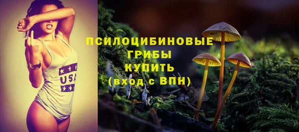 марки lsd Бородино