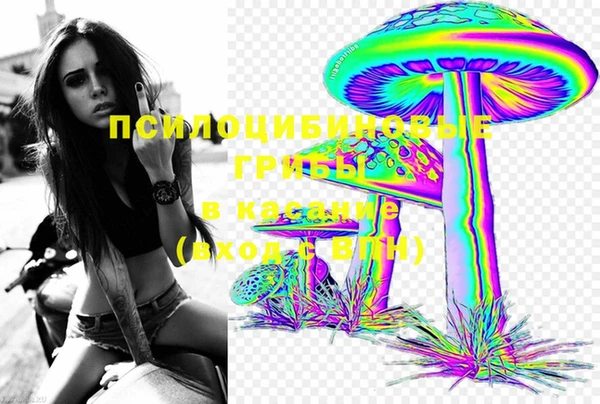 бошки Бронницы