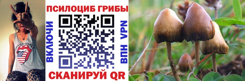 Галлюциногенные грибы Psilocybine cubensis  Одинцово 